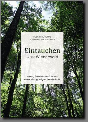 Eintauchen in den Wienerwald...