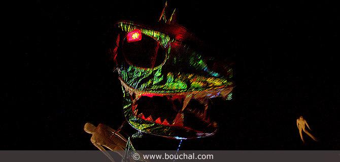 070.jpg