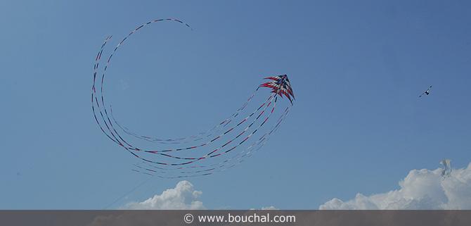 250.jpg