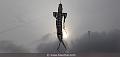 230