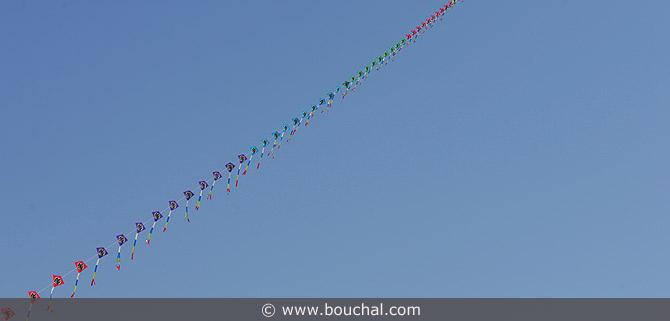 169.jpg