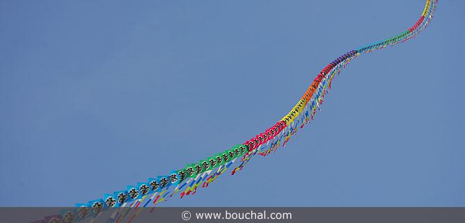 174.jpg